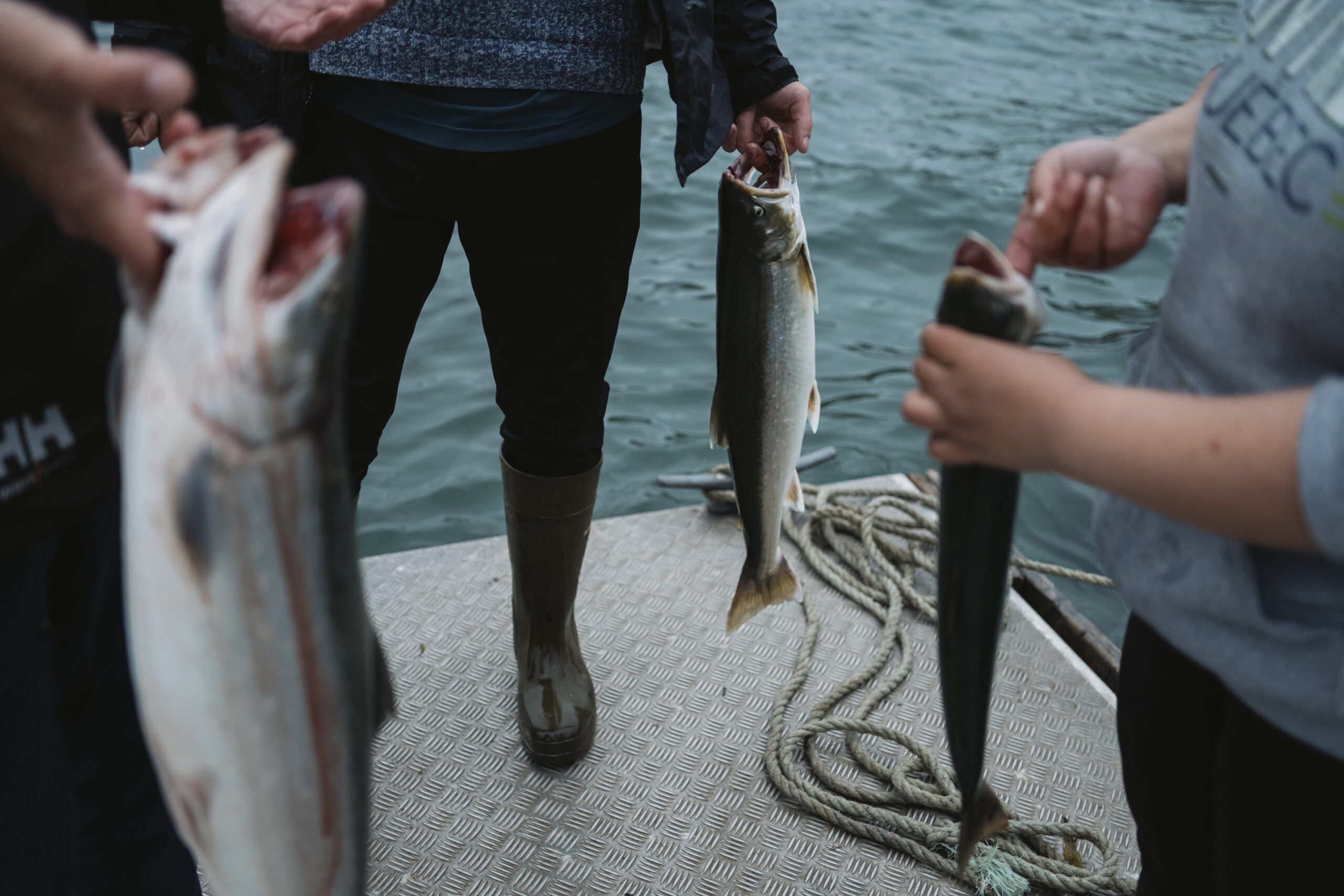Close up of three hands holding freshly caught fish on a metal dock