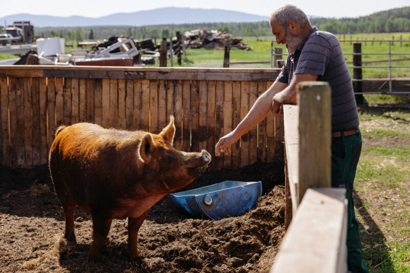 Farmer with pig