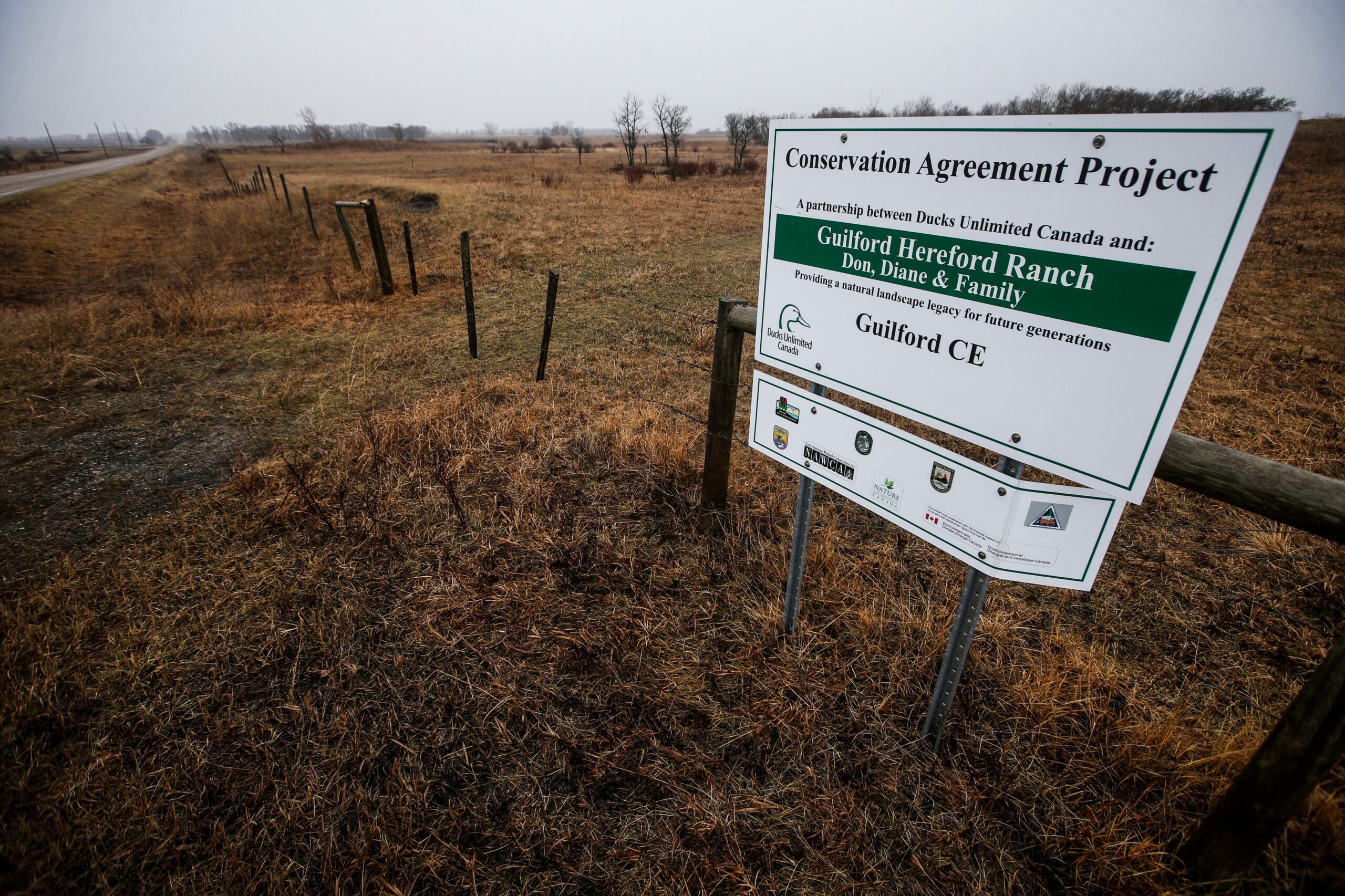 A white sign announces a "Conservation Agreement Project" in partnership with Ducks Unlimited on the Guilford Hereford Ranch in southern Manitoba