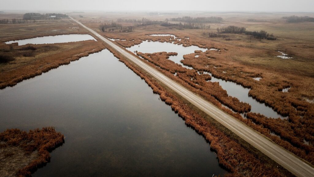Don Guilford's cattle ranch, seen from above, holds several large, protected wetlands