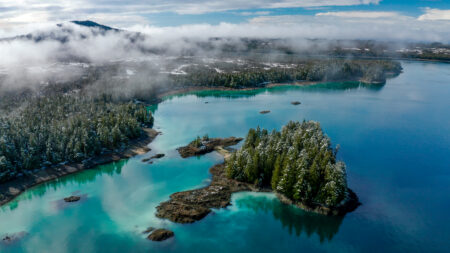 An aerial view of Kitasoo Xai'xais territory on the central coast of B.C., with vibrant green sea water, vibrant due to herring spawn. A small island and tree-lined coast are lightly dusted with snow, extending into the distance. Thin, low clouds hang over the trees and the sky is bright blue between the clouds.