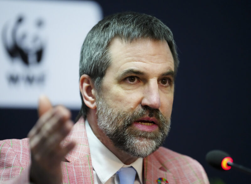 Close up of bearded man in a pink blazer speaking into a microphone.