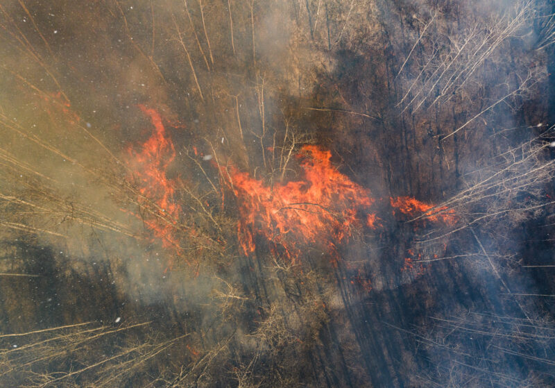 Aerial view of fire burning in a brown forest