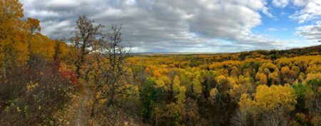 Riding Mountain National Park: an expansive forest canopy tinged in autumn yellows under a big sky with a trail winding in the foreground