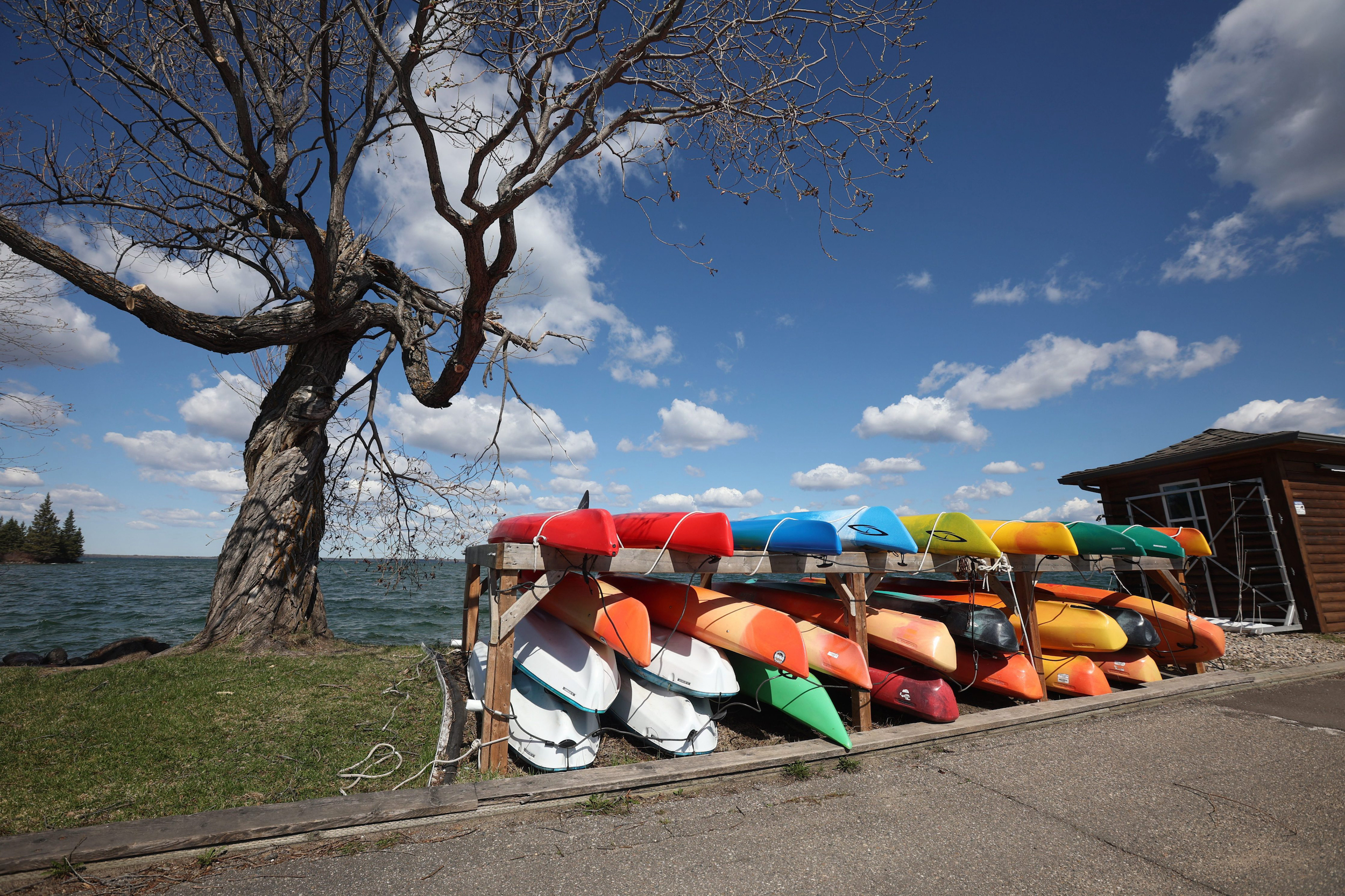 Riding Mountain National Park: Kayaks on a rack next to a tree under blue skies at the Clear Lake Marina along the pier in Wasagaming