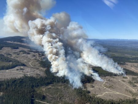 The Burgess Creek Wildfire, south of Quesnel, B.C., pictured in April 2024.