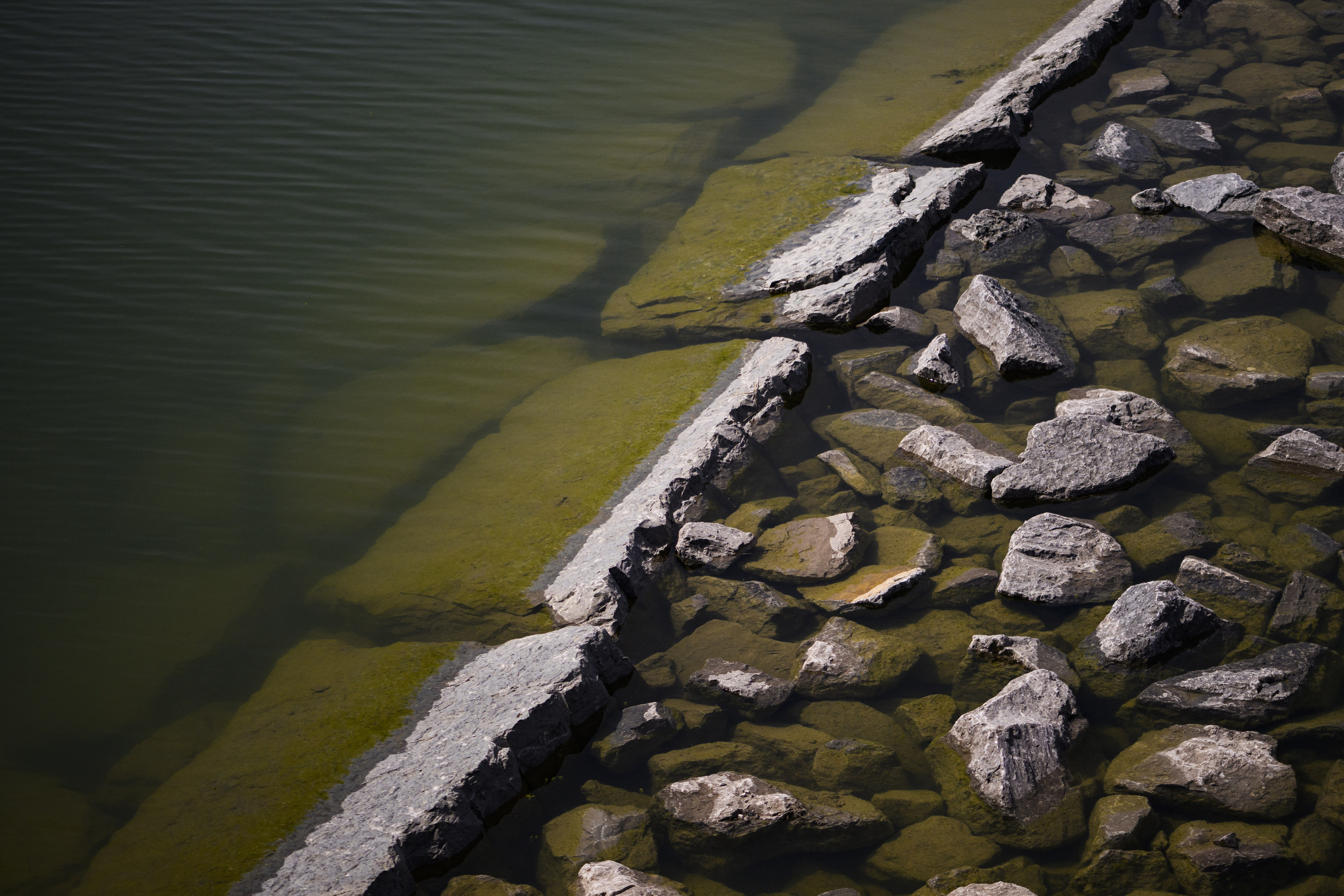Green* Economy: stones lining the bottom of the new Don River in Toronto, partially covered with water