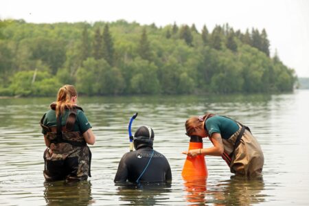 Two people in hip waders and one person in snorkel gear stand in thigh-high water, peering into a lake. One looks through an orange cone.
