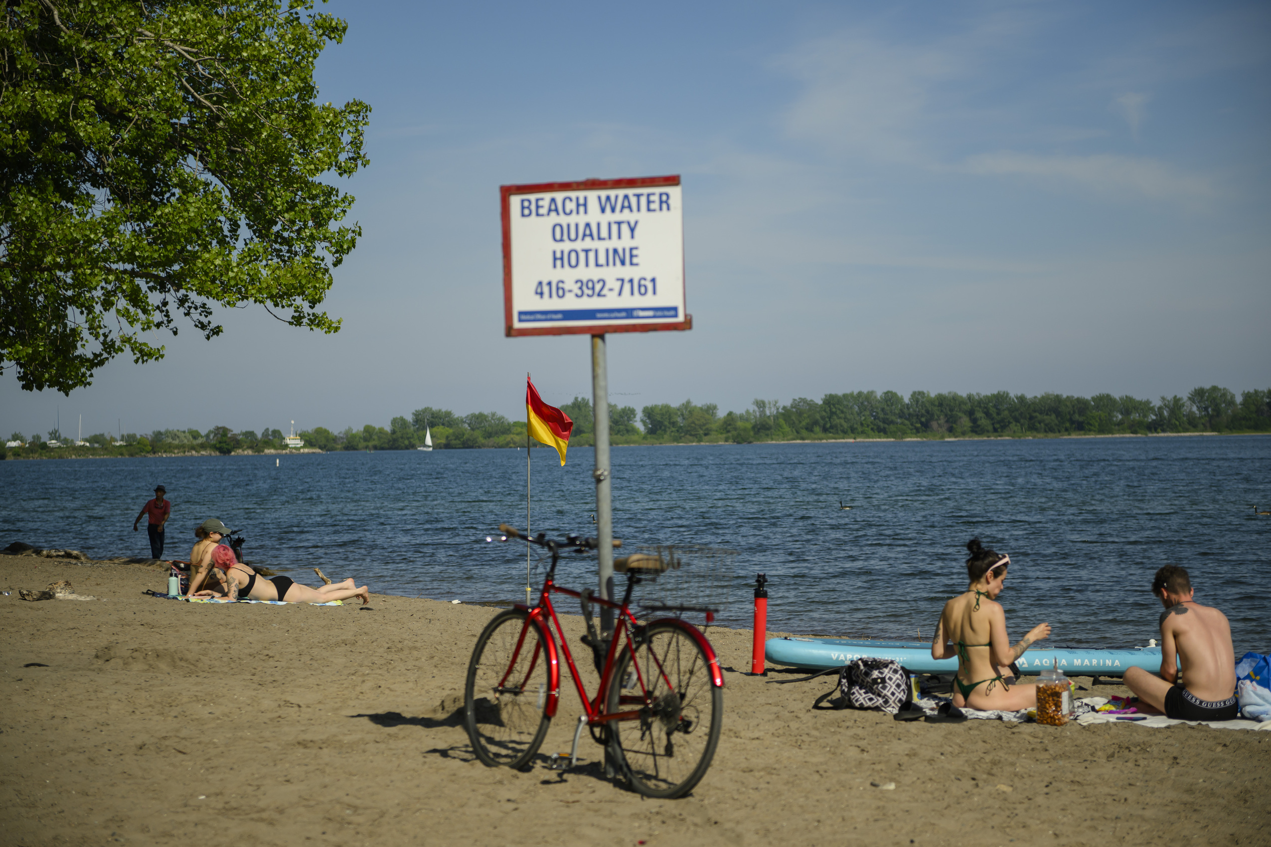 Heat wave: groups of people lay down in the sun on the beach behind a sign that says "beach water quality hotline - 416-392-7161."