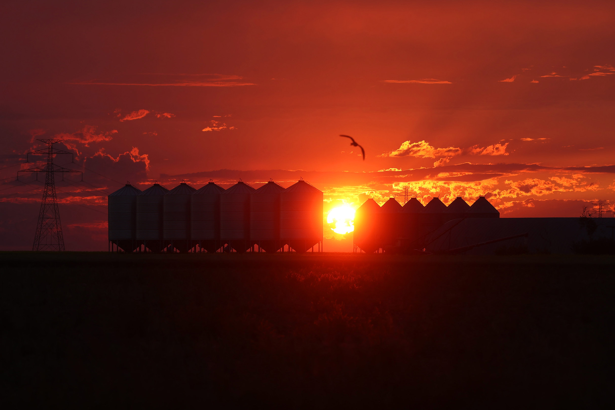 Farm at sunset north of Weyburn, Saskatchewan on a hot mid-July evening