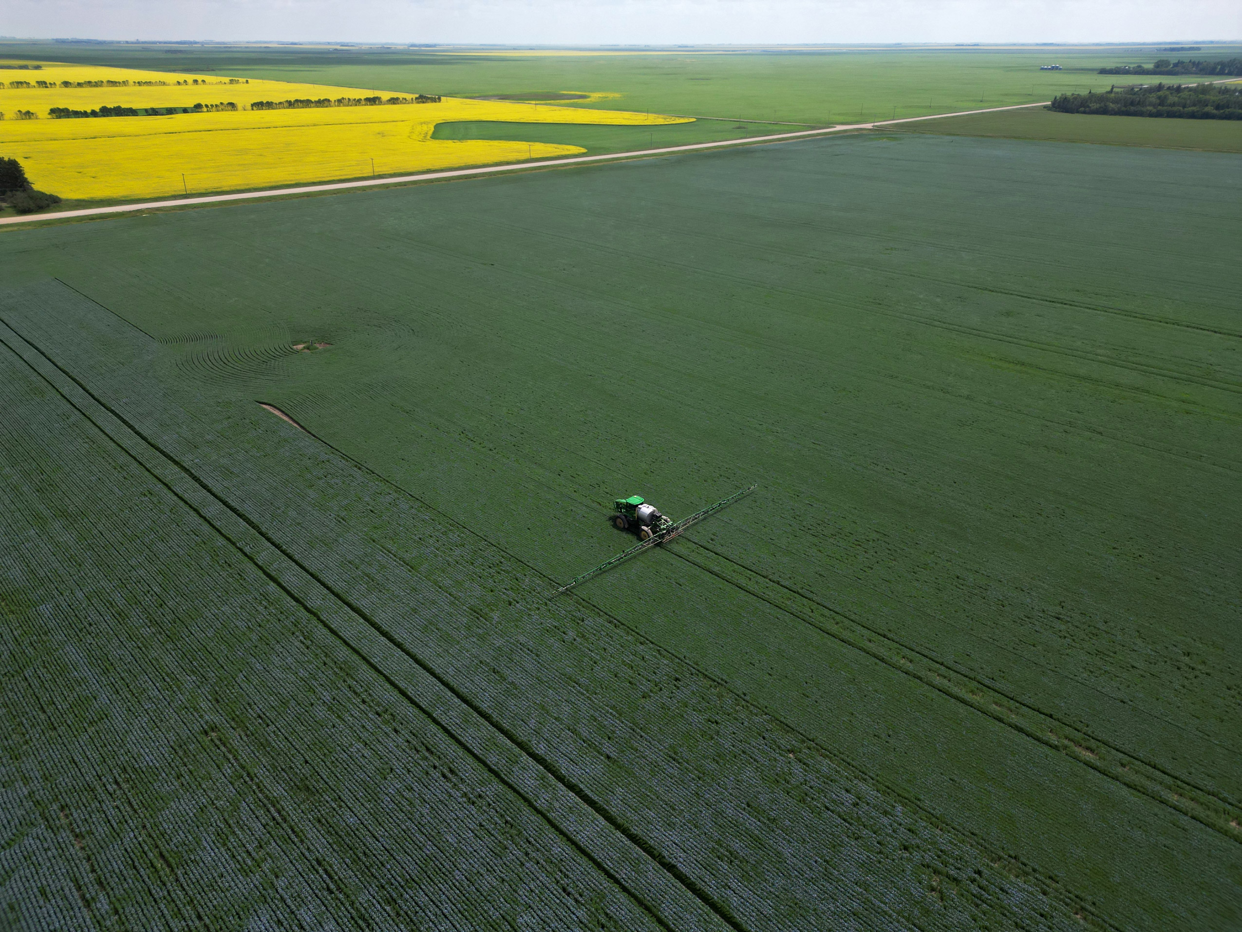 A large piece of farm equipment, seen from above, in a field of purple flax with yellow canola fields in the distance