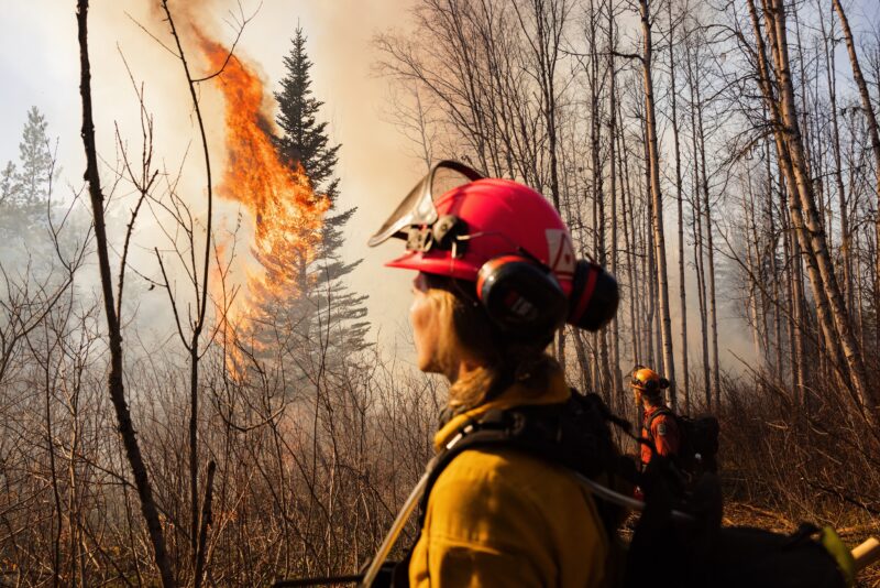 A tree is engulfed by orange flames as two people in wildfire gear look on.