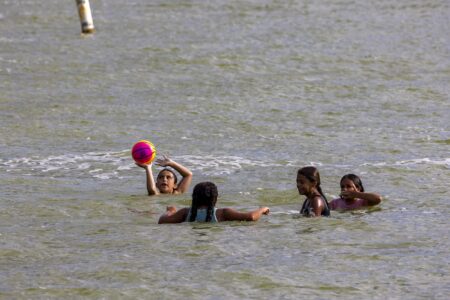 Children play in Lake Erie at Luna Pier, Mich., in water green with algae during an active advisory in 2022 against “whole-body contact” issued by the Monroe County Health Department.