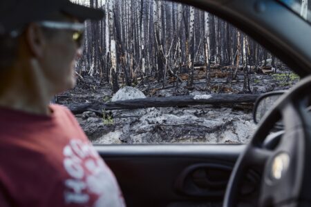 A wildfire-burned forest is pictured through an open car window. Someone sits in the driver's seat, looking out