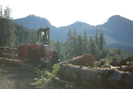 Logging equipment sits idle among fallen logs