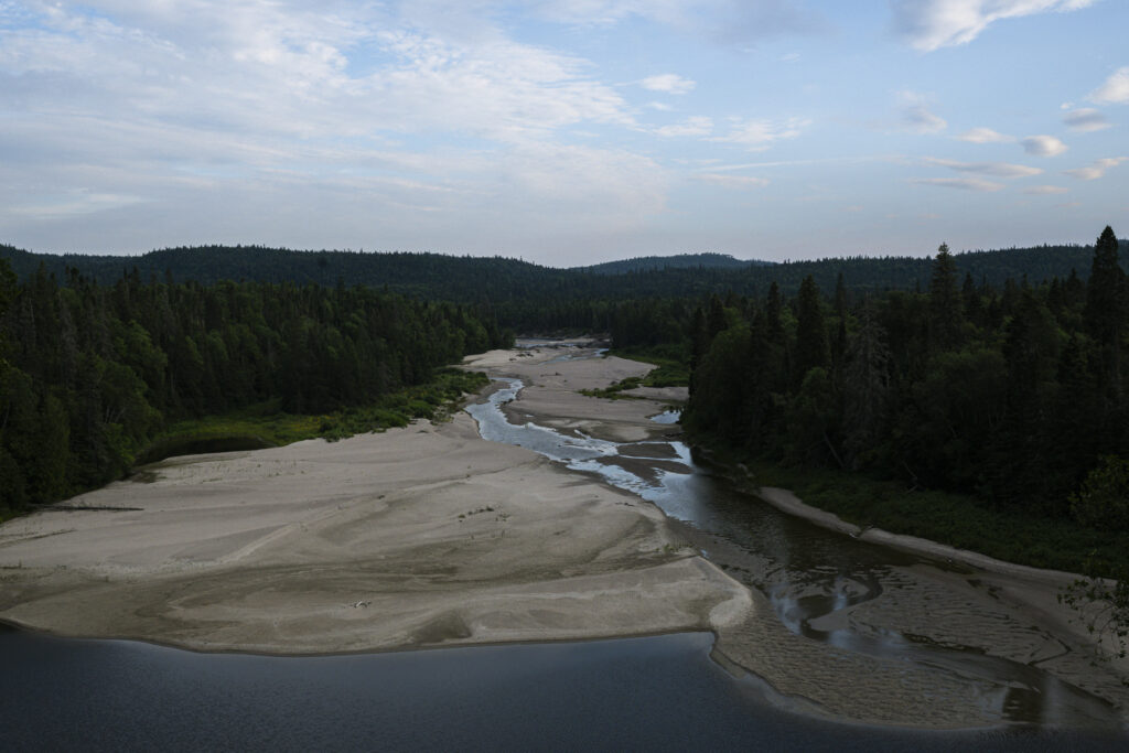 Lake Superior caribou: sandbars and a river flowing through dense forest, seen from above