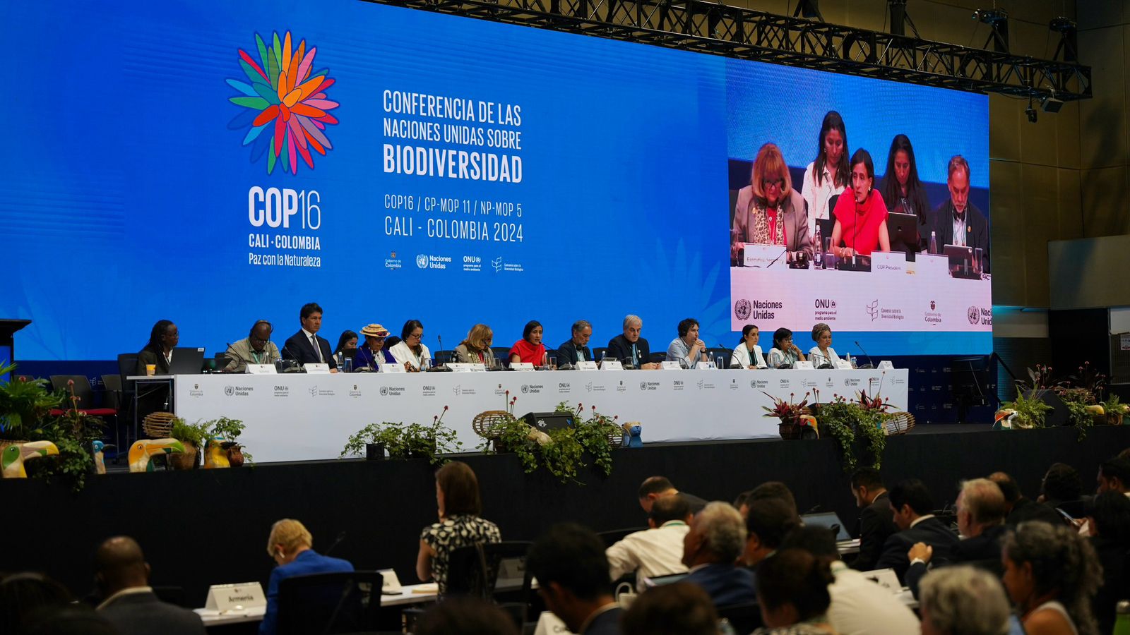Photo of the plenary hall at COP16 in Colombia, there are people sitting at a long table with a white table cloth on stage agaisnt a blue backdrop that says COP16