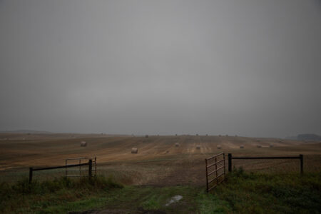 An open gate leads to a field of large round bales on a grey day