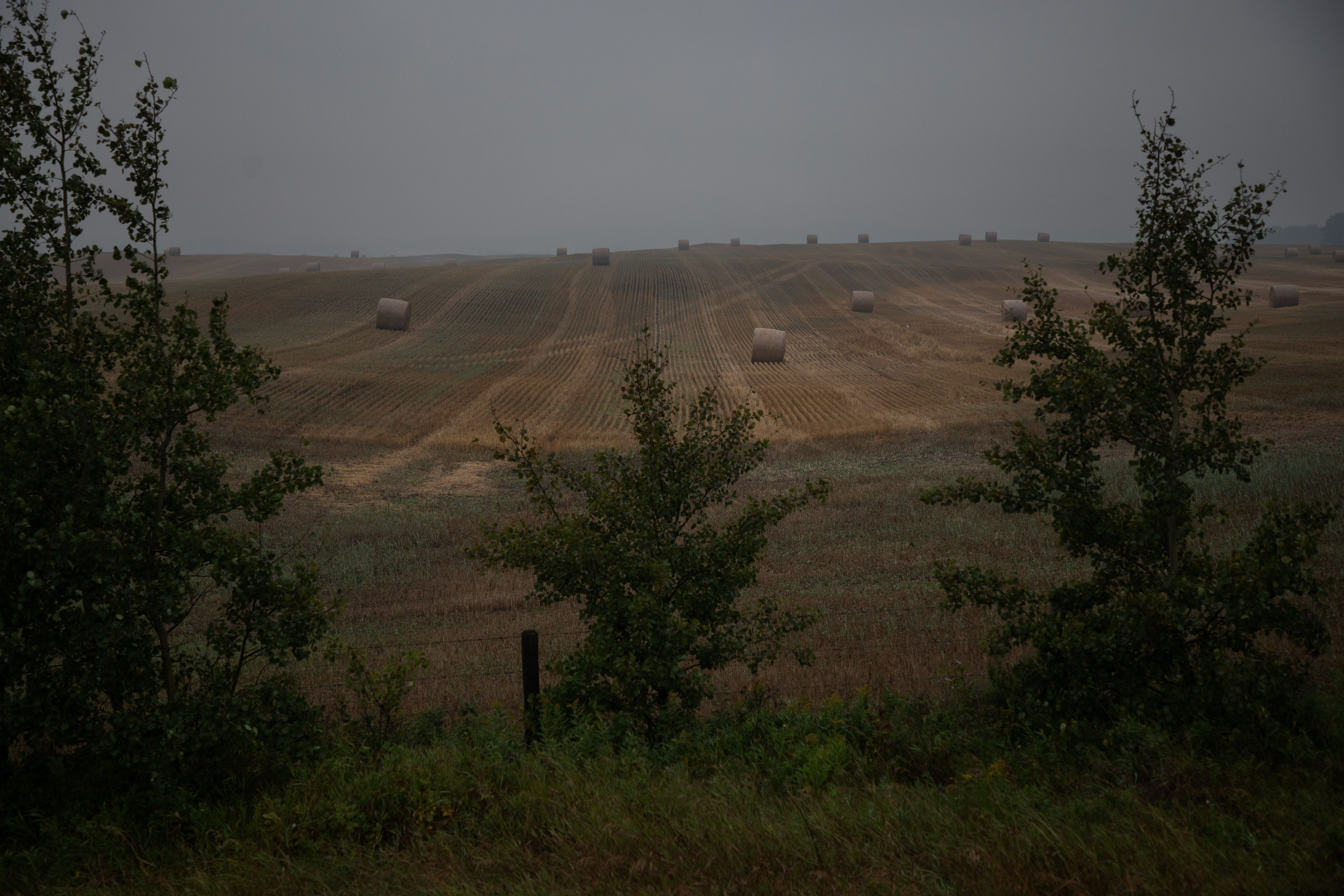 A field of large round bales is visible behind a fence and some low trees