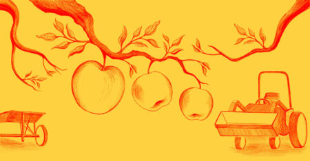 A two colour illustration of apples on a branch with a basket and tractor in the background.