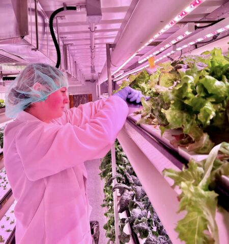 A grower tends to plants at Mnogin Greenhouse on Nipissing First Nation.