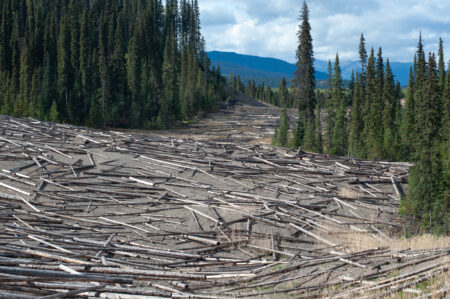 Coastal GasLink pipeline right of way, strewn with logs