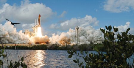 A space shuttle launches in the distance, with a body of water, shrubs and a bird in the foreground