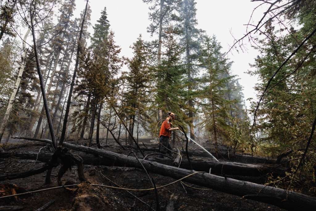 BC Wildfire Service member spraying water amid a black landscape, with some green trees still standing in the background