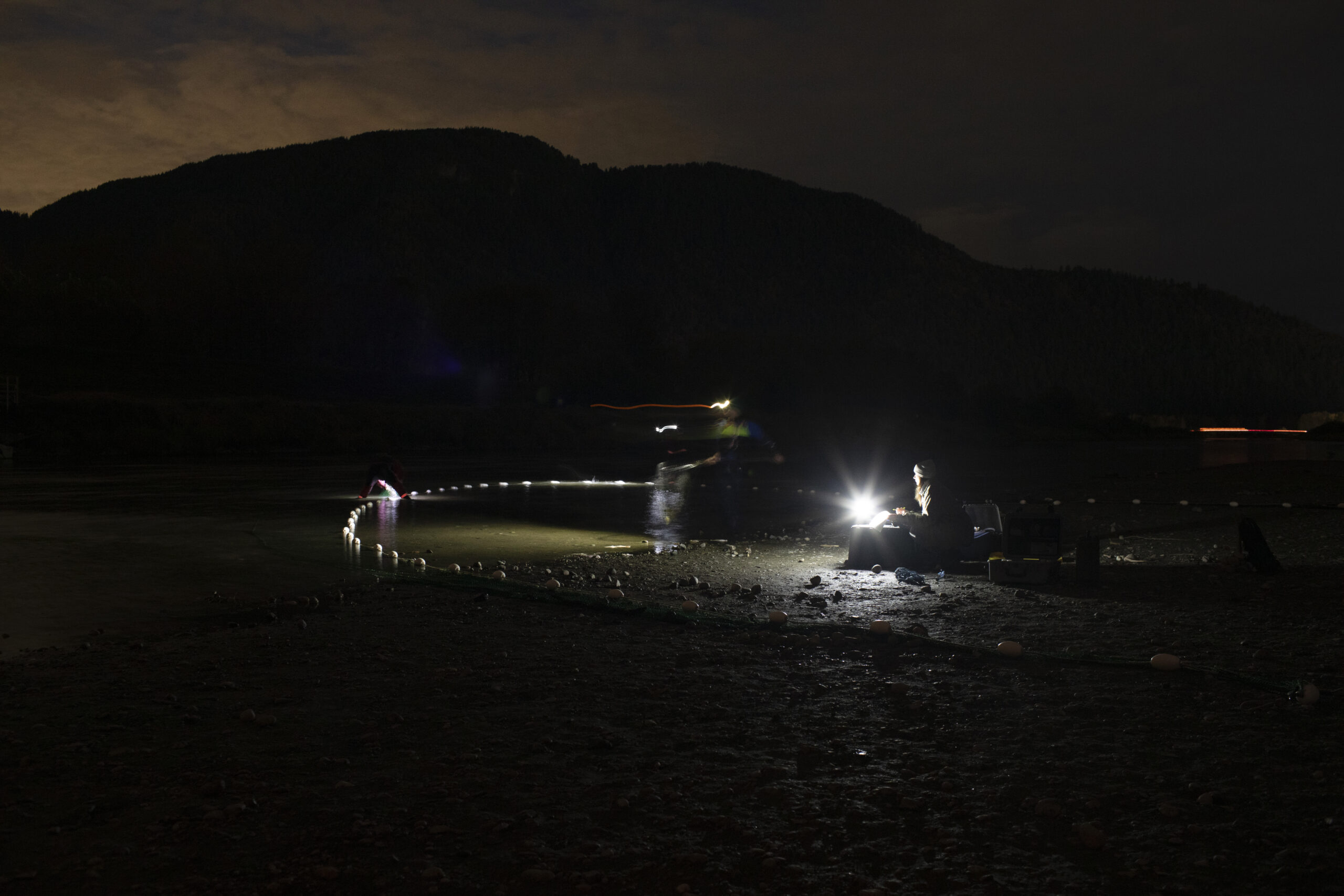 After the fish weir was destroyed, the team pivoted to using a beach seine — a large net designed to encircle fish, allowing for selective harvesting or monitoring. 