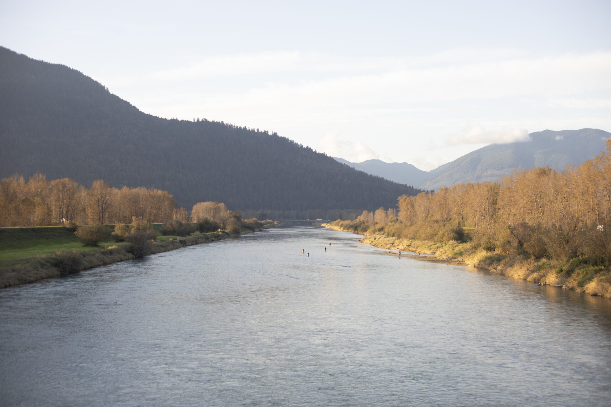 The Vedder River, with the Fraser Valley in the background