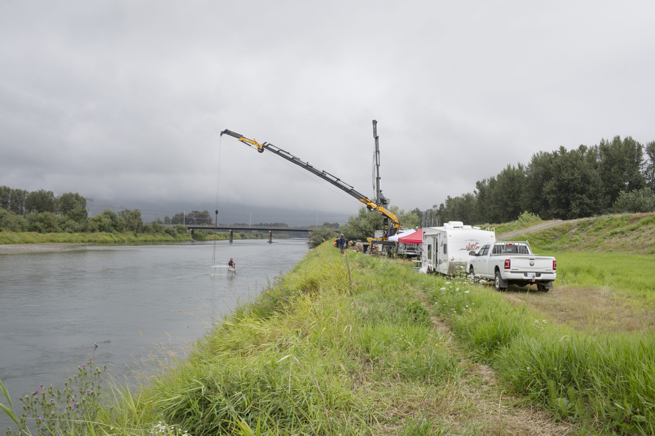 The fish weir’s trap box is lowered into the Vedder River. Fish are funnelled along a fence into the trap box for scientific monitoring. Eventually, the team hopes the fish weir can also be used for selective harvesting. 