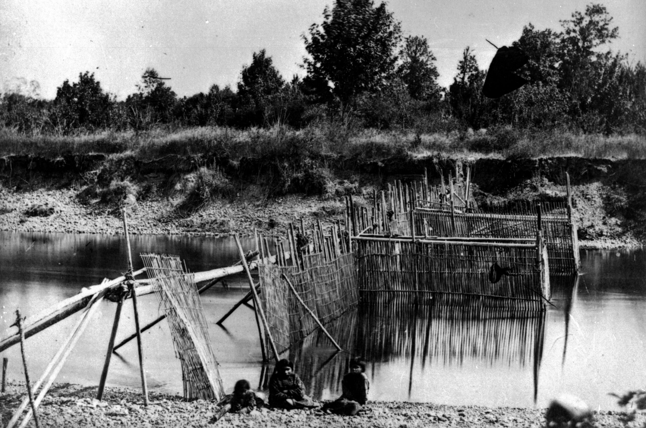 A photo of a salmon weir in Cowichan territory