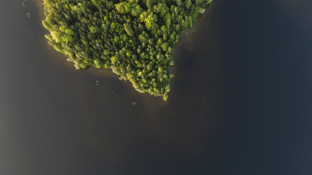 Ontario mining boom: a forested peninsula extending out into a lake, seen from above