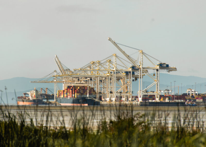 Deltaport in Metro Vancouver, with cranes and containers visible at the port. Mountains are in the background, and grass is blurred in the foreground. The grey-blue water in between is calm.