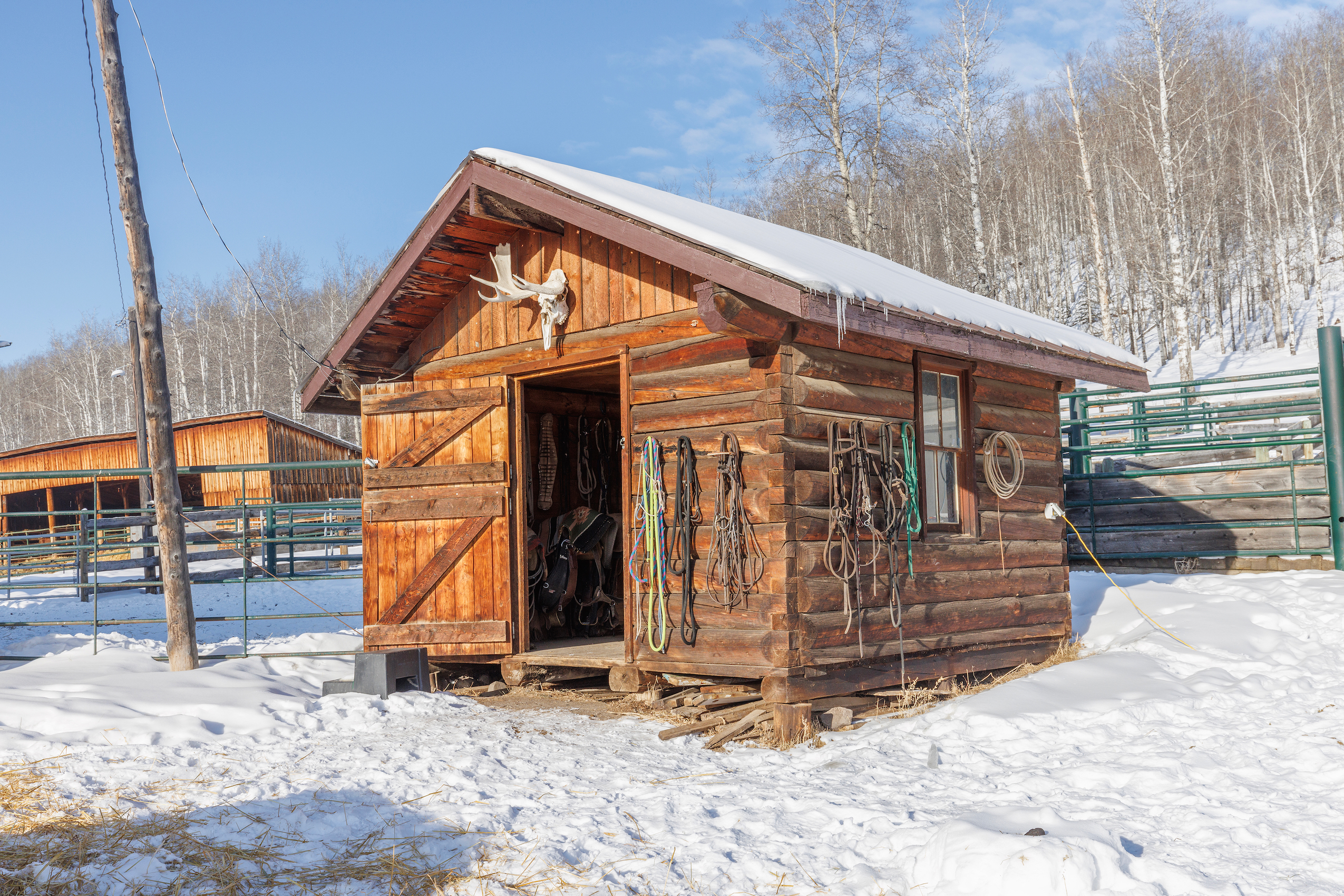 a tack shed in the snow on Dead Horse Creek Ranch