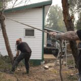 A man pulls on a thick rope tied to a tree while another man uses a chainsaw at the base of the tree, which stands very close to a small home