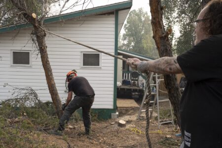 A man pulls on a thick rope tied to a tree while another man uses a chainsaw at the base of the tree, which stands very close to a small home