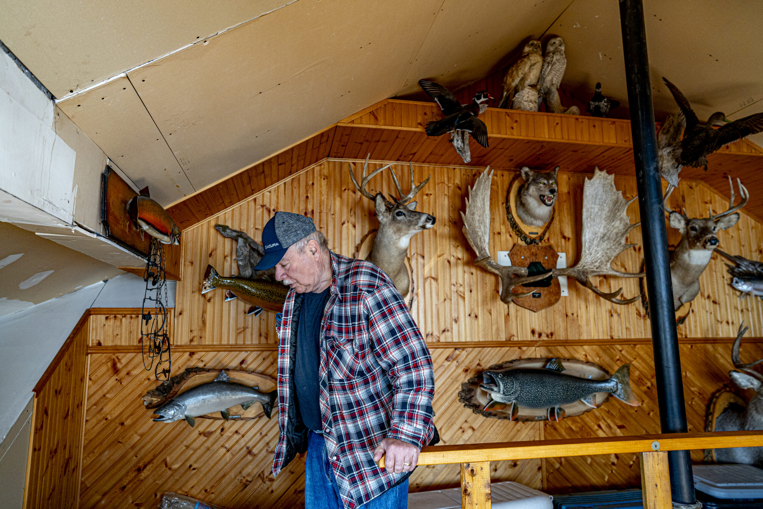 A man walks in front of a wall with various fish and animal heads and antlers mounted on it
