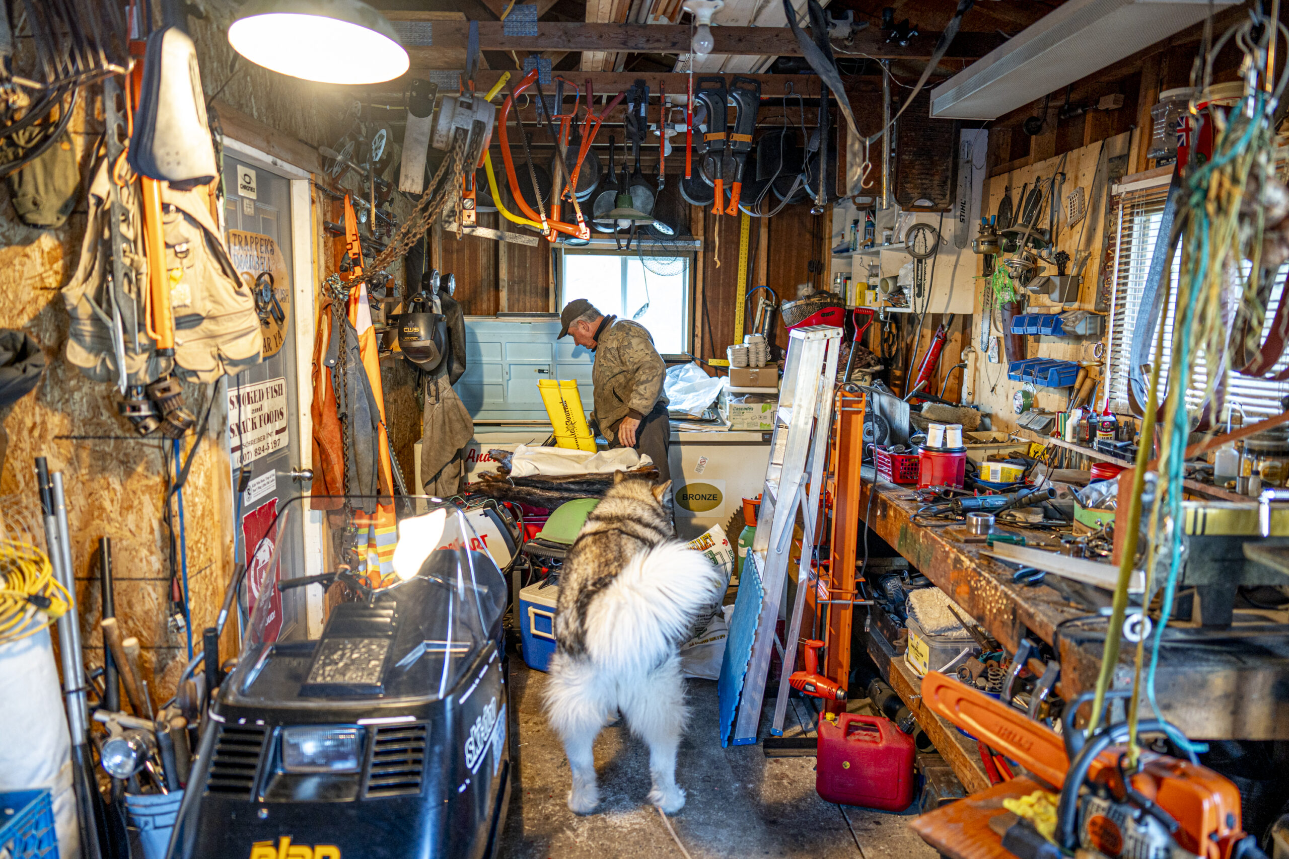 A man stands at the back of his garage with tools and equipment surrounding him and a large fluffy dog watching him