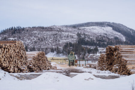 In Wynndel, B.C., two rows of log piles line each side of the frame, extending into the distance. Above them, a large clearcut extends up a hill, brown with a thin layer of snow. Some trees are visible along the time of the hill where the clearcut ends.