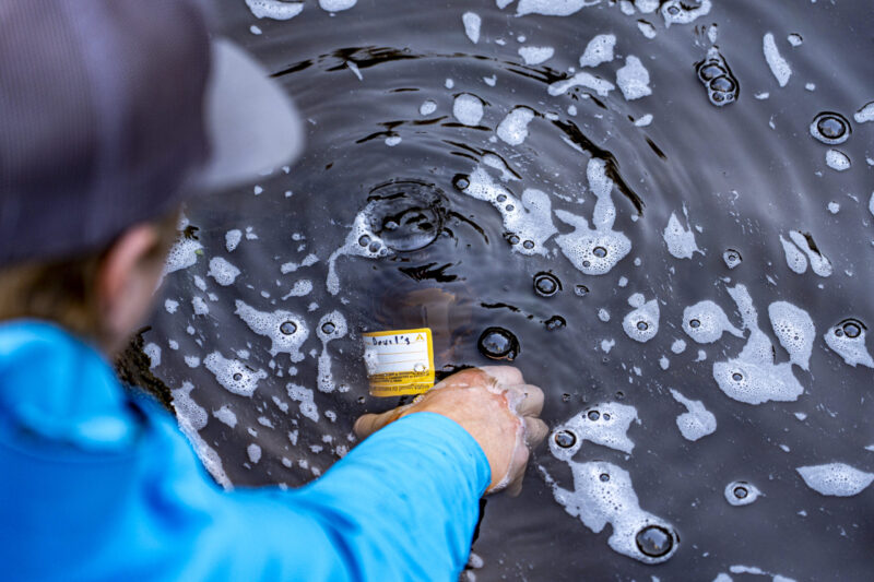 A man lowers a brown glass bottle to collect a sample of water from a shallow brown pool with patches of white froth