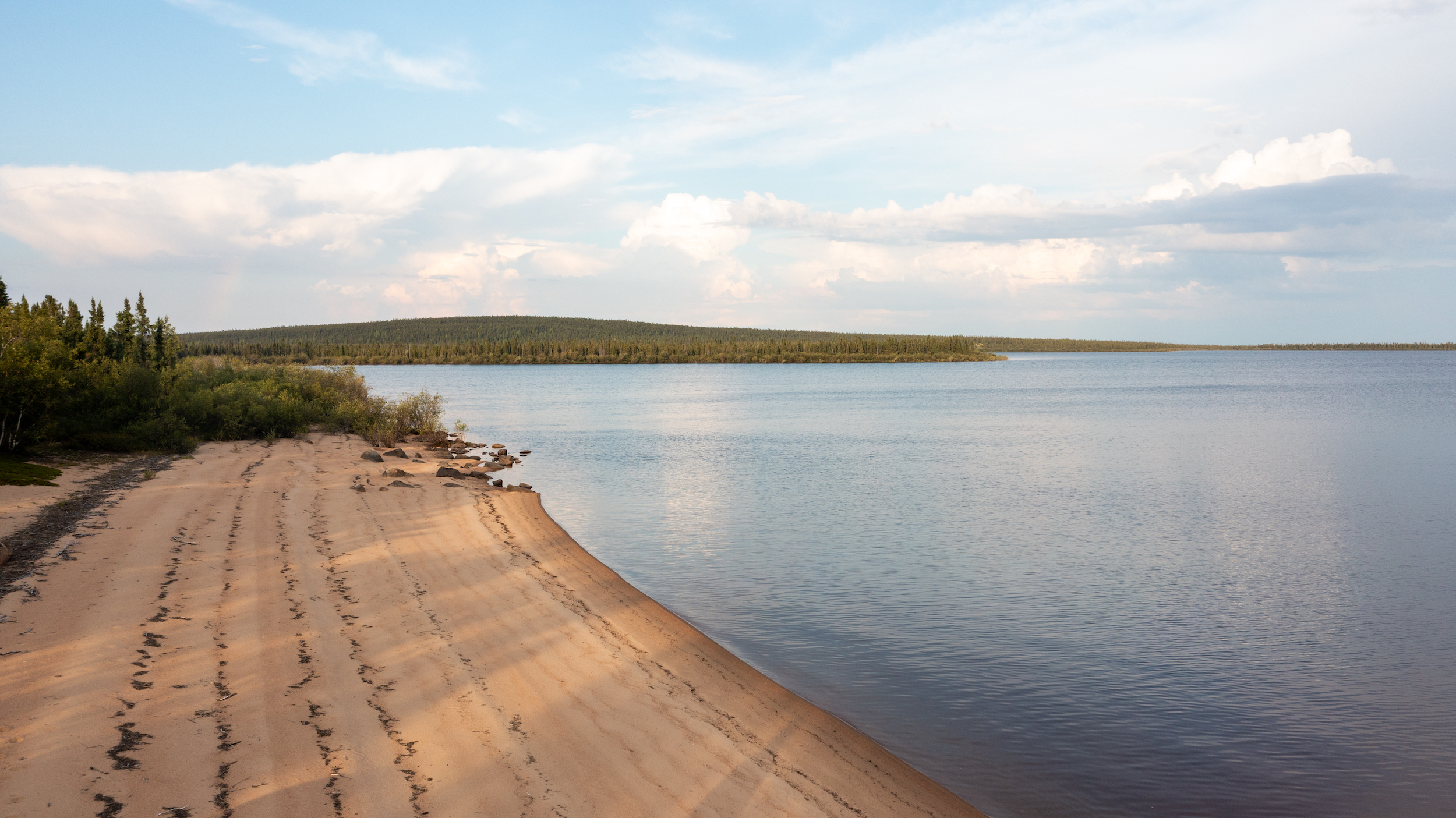 shore of a still lake under blue skies with coniferous trees on the edge