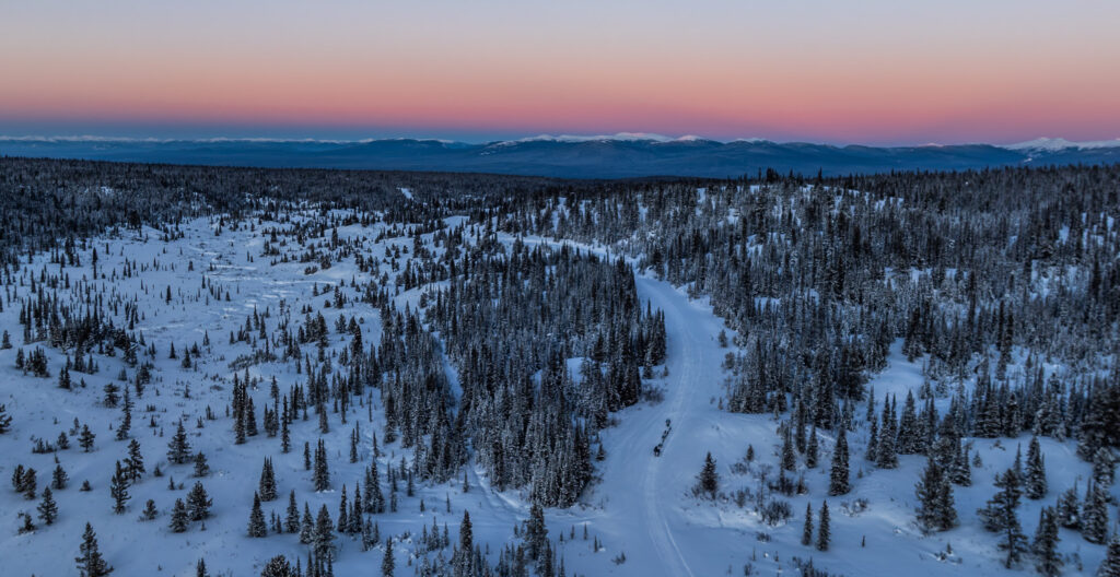 A sled-dog team crosses a trail in a blue-winter landscape covered in snow with mountains in the background