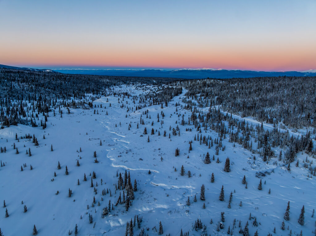 A snowy landscape at twilight