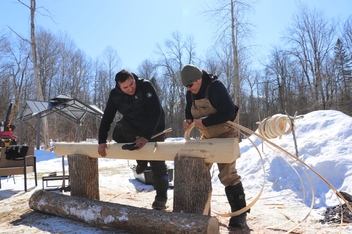 Saving a tree — and a Mohawk tradition | The Narwhal