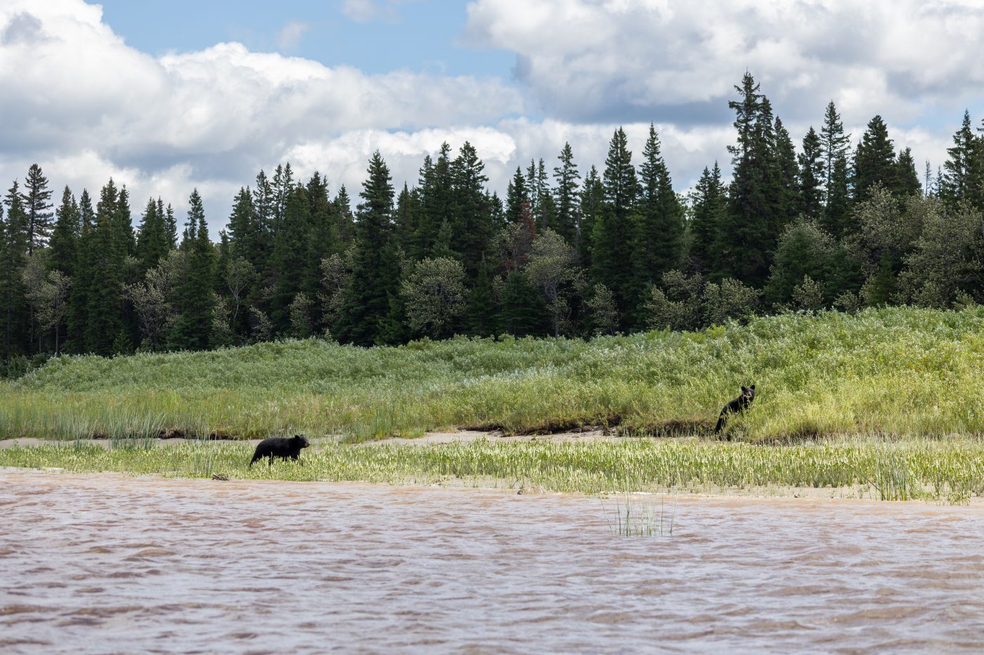 Why drought is so widespread in Canada — and what to do about it | The ...