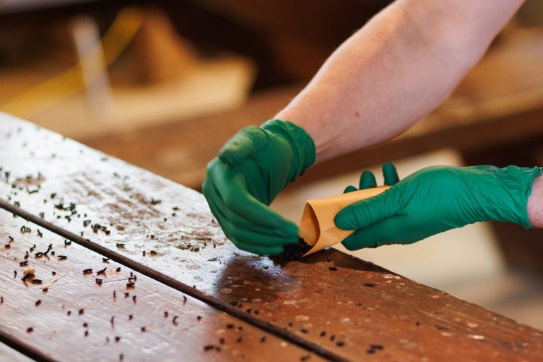 A deadly disease is killing millions of bats. Now Trump funding cuts threaten a promising Canadian treatment Biologist Cori Lausen sweeps bat feces, called guano, from a picnic table in the workshop into a sample envelope. Photo: Ainslie Cruickshank / The Narwhal