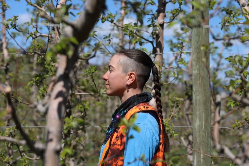 A woman with a long braid stands among apple trees in an orchard