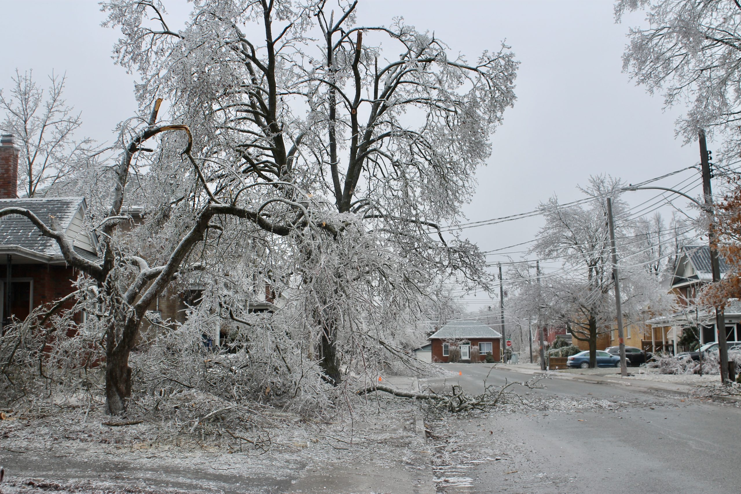 Ice-covered branches hang from a tree, with broken limbs scattered across the road during an ice storm in Peterborough, Ont.