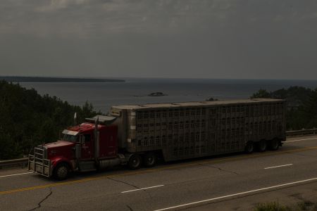 A transport truck drives on Highway 17 in Algoma, Ont., with Lake Superior behind it